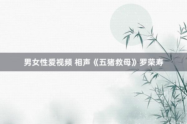男女性爱视频 相声《五猪救母》罗荣寿