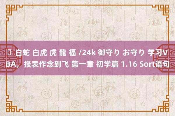 ✨白蛇 白虎 虎 龍 福 /24k 御守り お守り 学习VBA,报表作念到飞 第一章 初学篇 1.16 Sort语句