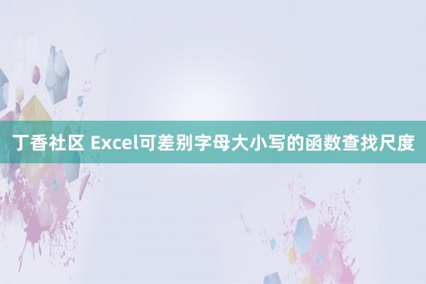 丁香社区 Excel可差别字母大小写的函数查找尺度