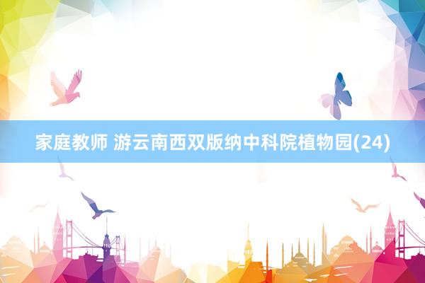 家庭教师 游云南西双版纳中科院植物园(24)