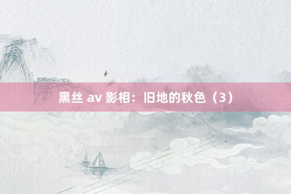 黑丝 av 影相:旧地的秋色(3)