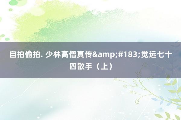 自拍偷拍. 少林高僧真传&#183;觉远七十四散手（上）