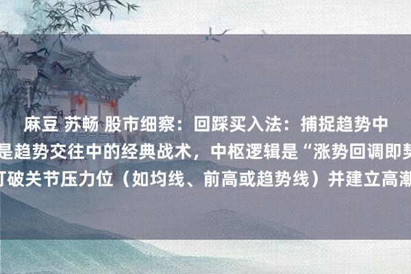 麻豆 苏畅 股市细察:回踩买入法:捕捉趋势中的精确拐点回踩买入法是趋势交往中的经典战术,中枢逻辑是“涨势回调即契机”。当股价打破关节压力位(如均线、前高或趋势线)并建立高潮趋势后,经常会出现技能性回踩,此时...