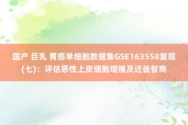 国产 巨乳 胃癌单细胞数据集GSE163558复现(七)：评估恶性上皮细胞增殖及迁徙智商