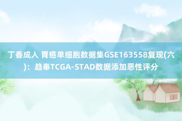 丁香成人 胃癌单细胞数据集GSE163558复现(六)：趋奉TCGA-STAD数据添加恶性评分