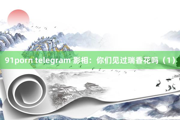 91porn telegram 影相:你们见过瑞香花吗(1)