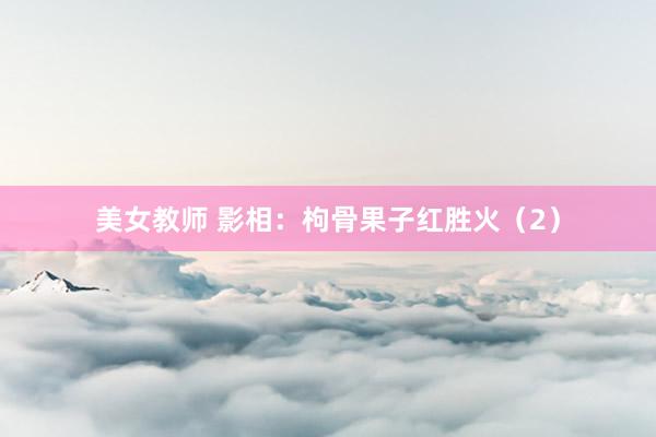 美女教师 影相:枸骨果子红胜火(2)