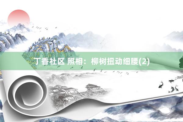 丁香社区 照相:柳树扭动细腰(2)