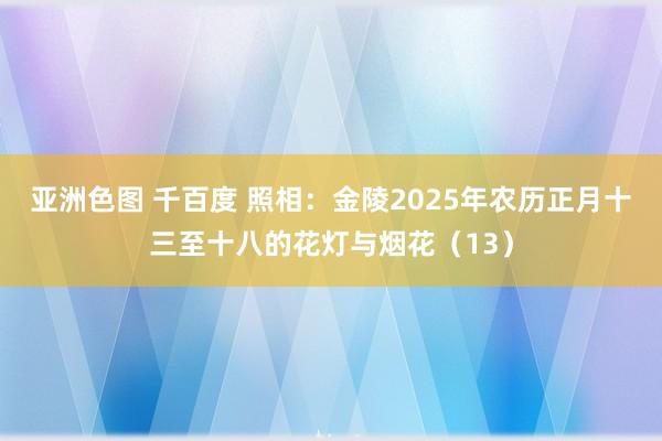 亚洲色图 千百度 照相:金陵2025年农历正月十三至十八的花灯与烟花(13)