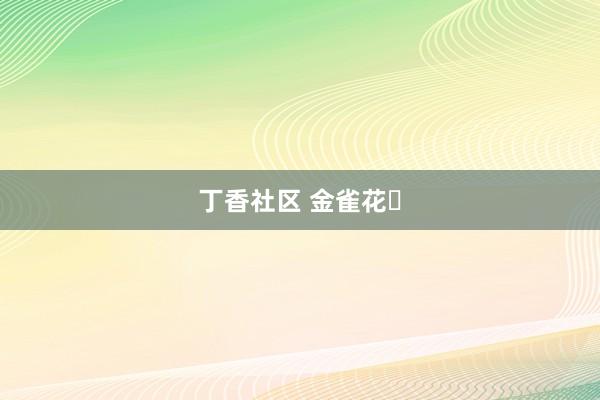 丁香社区 金雀花‌